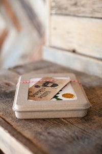 Greetings from Montana - Set of 10